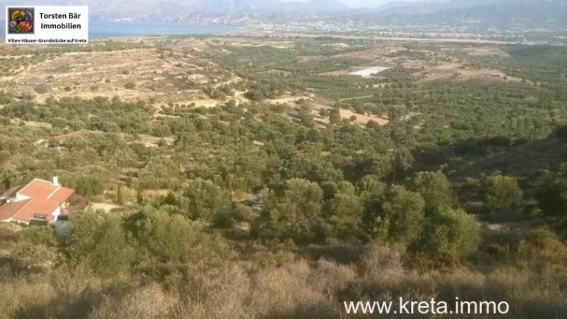 Kamilari Süd Kreta; Kamilari Grundstück mit Meerblick 10.000m² Grundstück kaufen